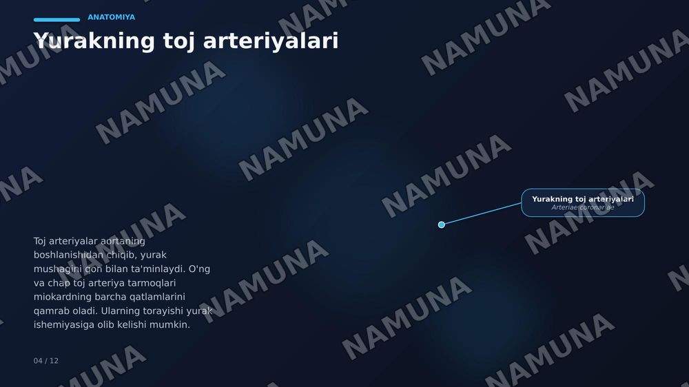 Yurak, qon tomirlari, kasalliklari va davolash usullari — zamonaviy taqdimot, 7-slayd