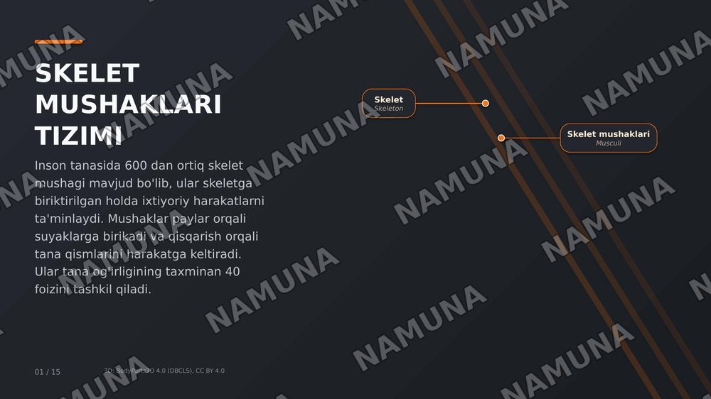 inson tanasidagi muskullar tuzilishi — zamonaviy taqdimot, 1-slayd