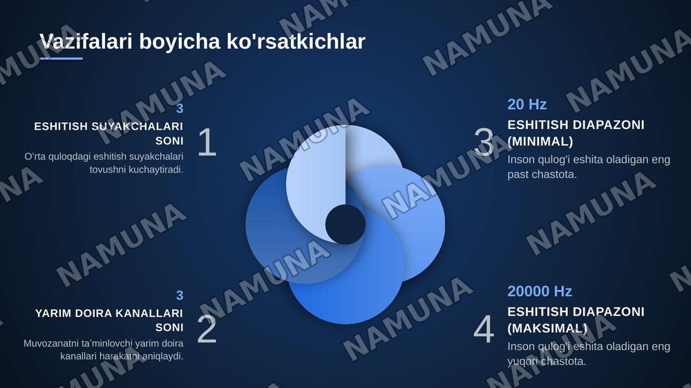 Chakka suyagi anatomiyasi — zamonaviy taqdimot, 7-slayd