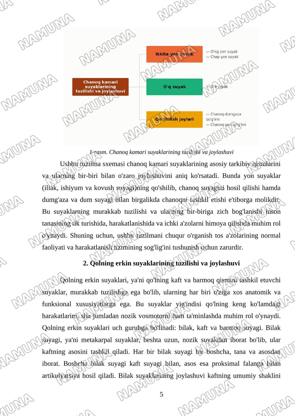 Chanoq kamari va qolning erkin suyaklari — mustaqil ish, 5-varaq