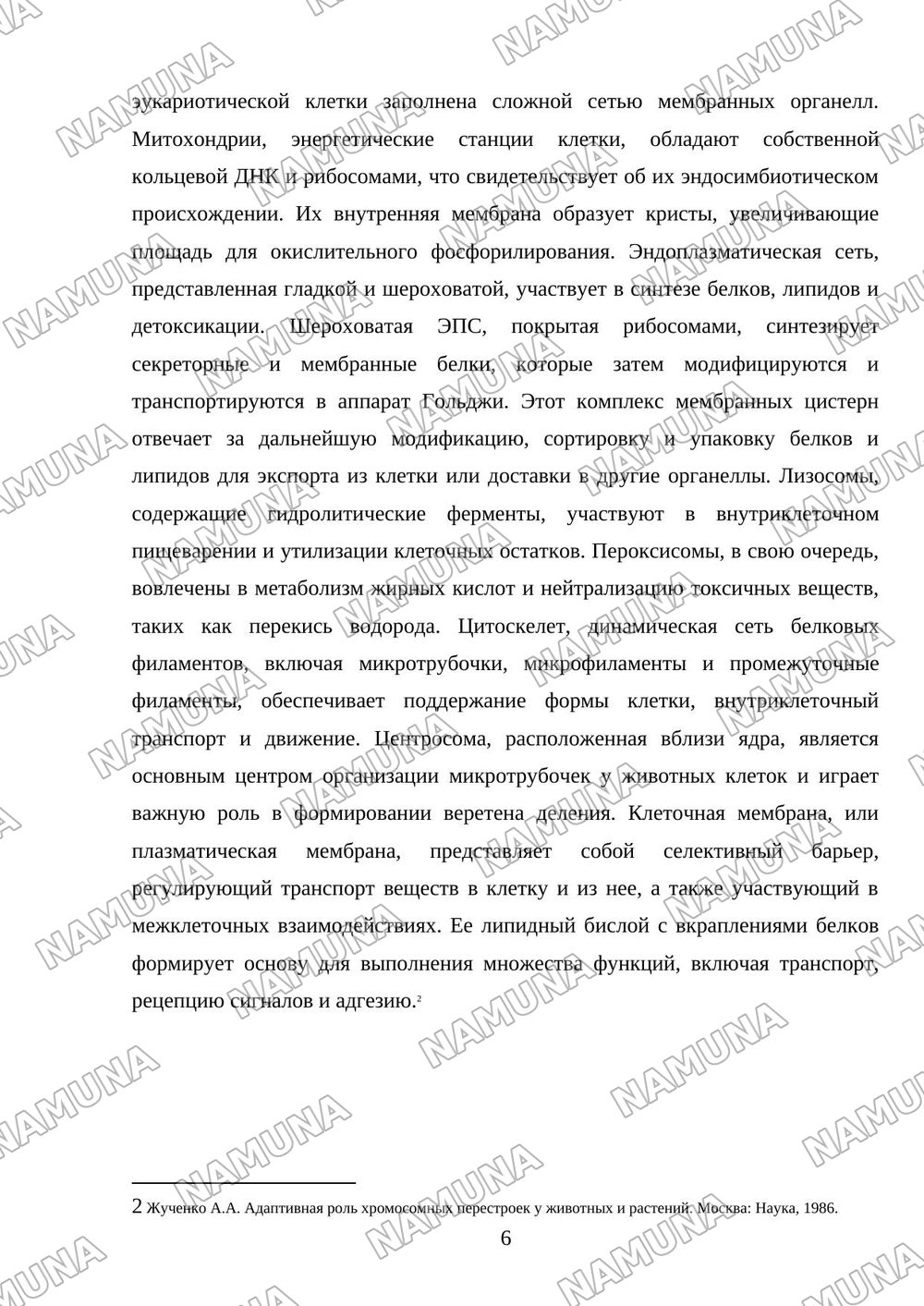 Структура клетки. Клеточная теория. Морфофункционалные характеристики хромосом животных и человека. — mustaqil ish, 6-varaq