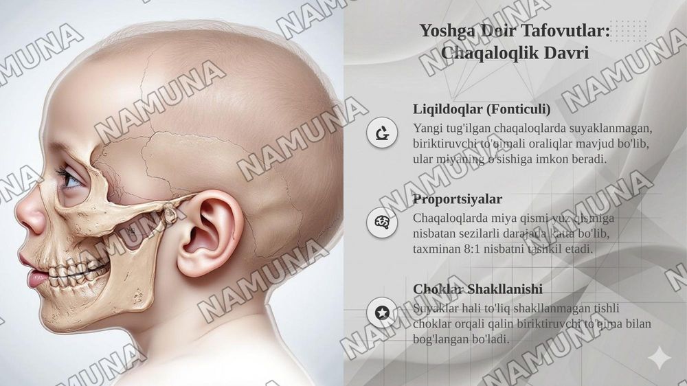 Kalla suyagining rentgen anatomiyasi kalla suyagining yosh va jinsiy tafovutlari — taqdimot, 5-slayd