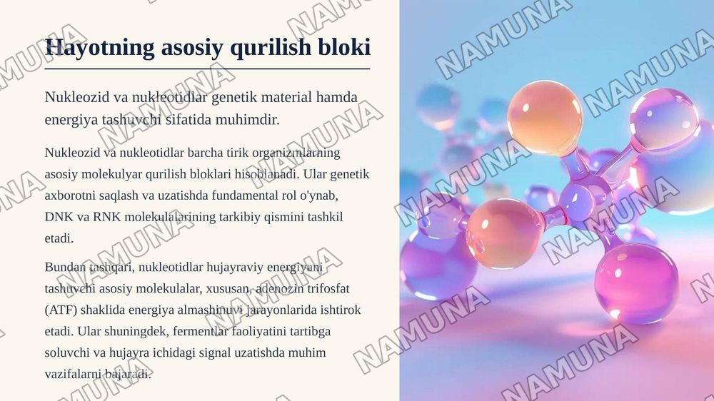 Nukleozid va nukleotidlarning tuzilishi — zamonaviy taqdimot, 3-slayd
