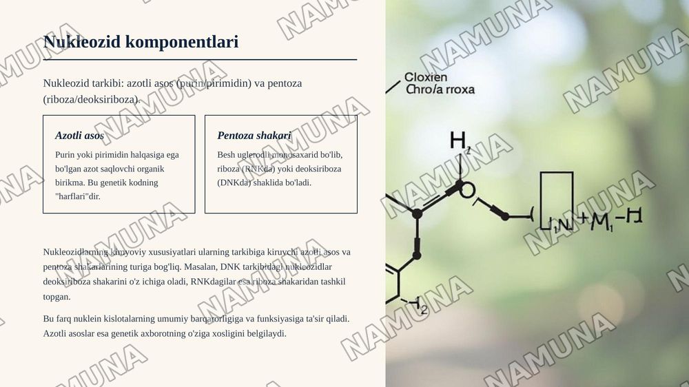 Nukleozid va nukleotidlarning tuzilishi — zamonaviy taqdimot, 5-slayd