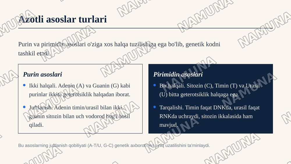 Nukleozid va nukleotidlarning tuzilishi — zamonaviy taqdimot, 6-slayd