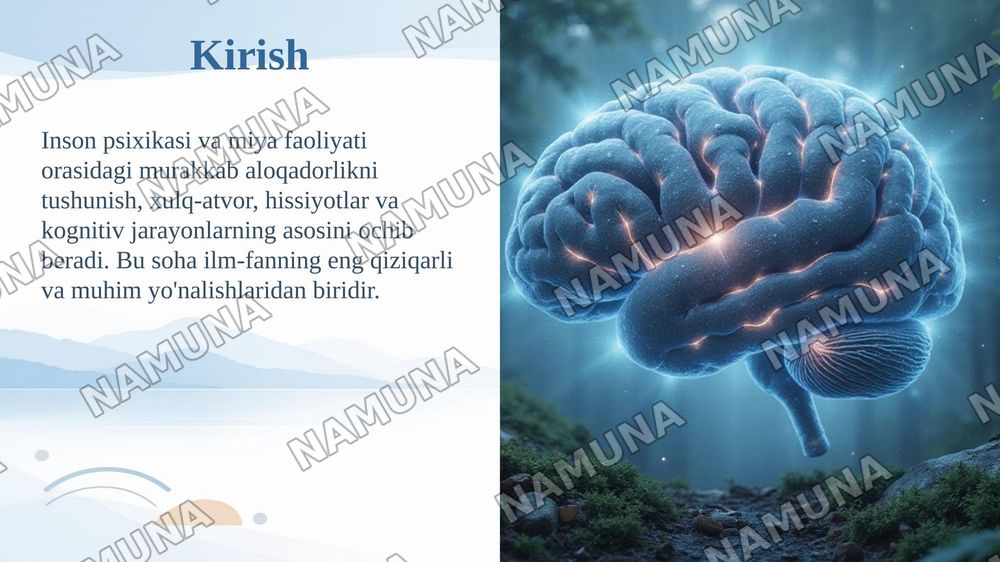 Psixik jarayonlar va miyaning oʻzaro aloqadorligi — taqdimot, 3-slayd