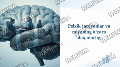 Psixik jarayonlar va miyaning oʻzaro aloqadorligi — taqdimot
