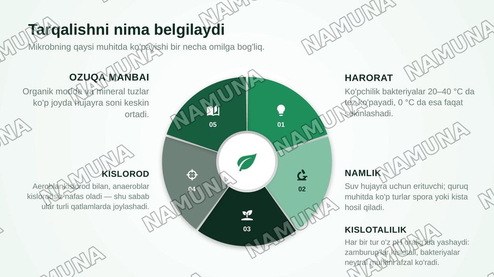 Mikroorganizmlarning tabiatda tarqalishi — zamonaviy taqdimot, 4-slayd