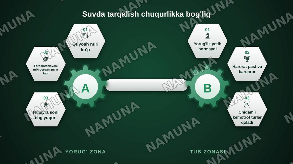 Mikroorganizmlarning tabiatda tarqalishi — zamonaviy taqdimot, 6-slayd