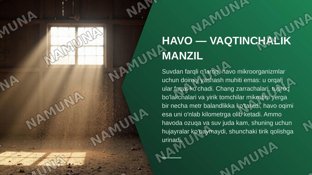 Mikroorganizmlarning tabiatda tarqalishi — zamonaviy taqdimot, 7-slayd