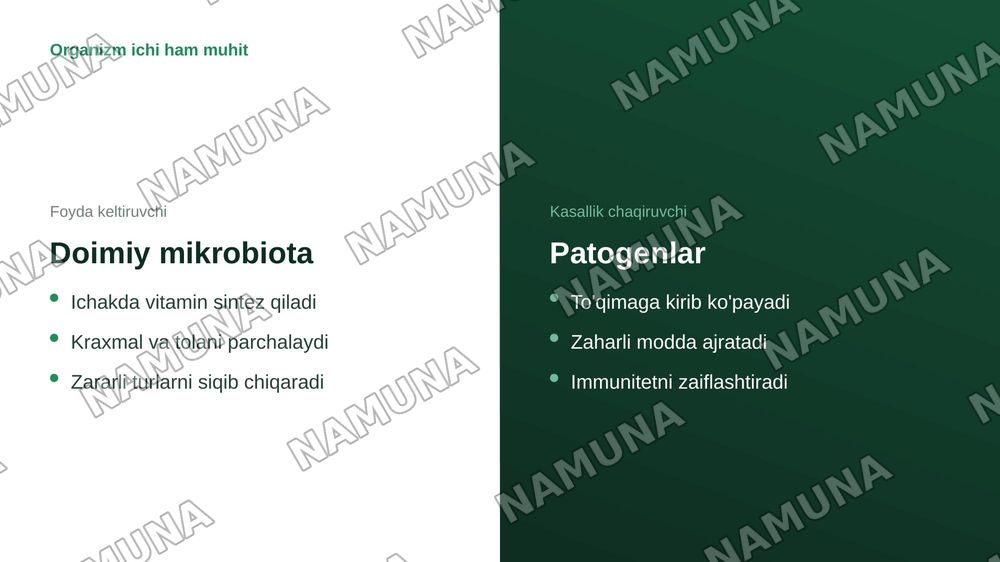 Mikroorganizmlarning tabiatda tarqalishi — zamonaviy taqdimot, 8-slayd