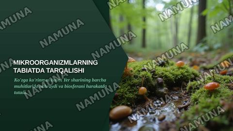 Mikroorganizmlarning tabiatda tarqalishi — zamonaviy taqdimot