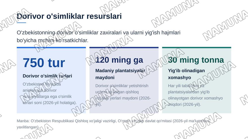 O’zbekistondagi dorivor o’simliklar — zamonaviy taqdimot, 4-slayd