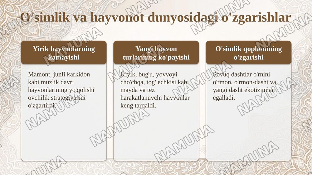 mezolit davri arxeologiyasi — taqdimot, 6-slayd