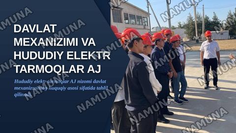 Davlat mexanizimi mavzusida hududiy elektr tarmoqlar AJ ni nizomidan ma'lumot olib tahlil qilish kerak — zamonaviy taqdimot