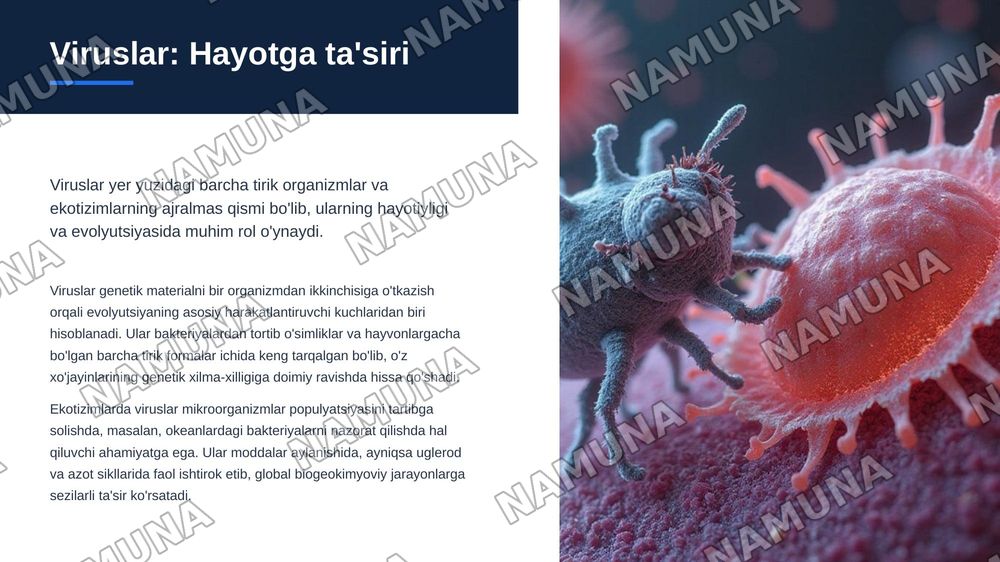 Viruslarning tuzilishi, kimyoviy tarkibi va tasnifi. — zamonaviy taqdimot, 3-slayd