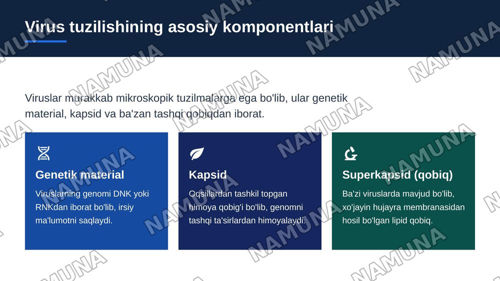 Viruslarning tuzilishi, kimyoviy tarkibi va tasnifi. — zamonaviy taqdimot, 4-slayd