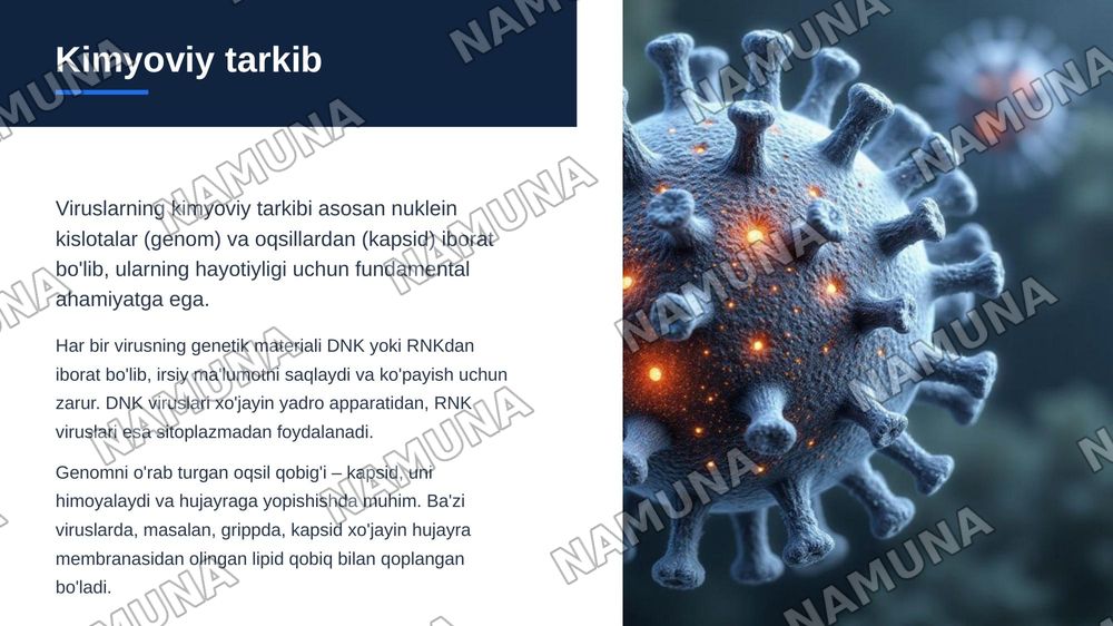 Viruslarning tuzilishi, kimyoviy tarkibi va tasnifi. — zamonaviy taqdimot, 5-slayd