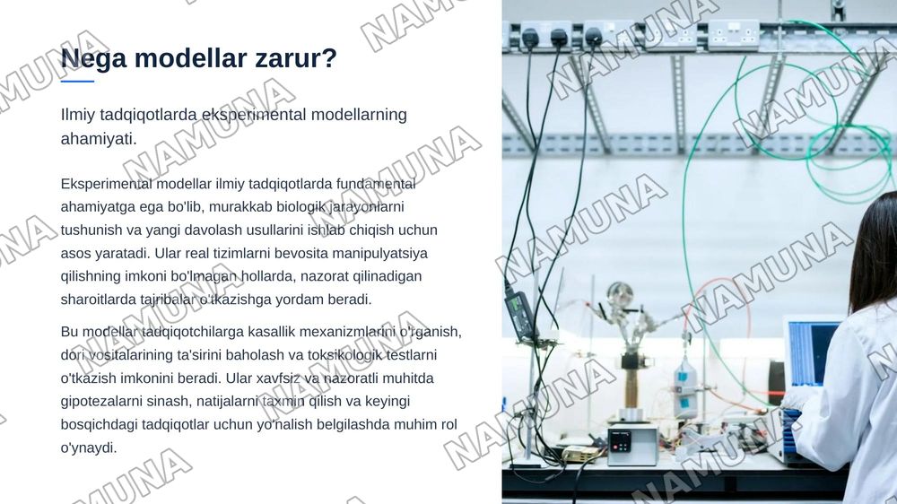 Eksperimental modellarni taqqoslash: in vitro, in vivo va in silico — zamonaviy taqdimot, 3-slayd