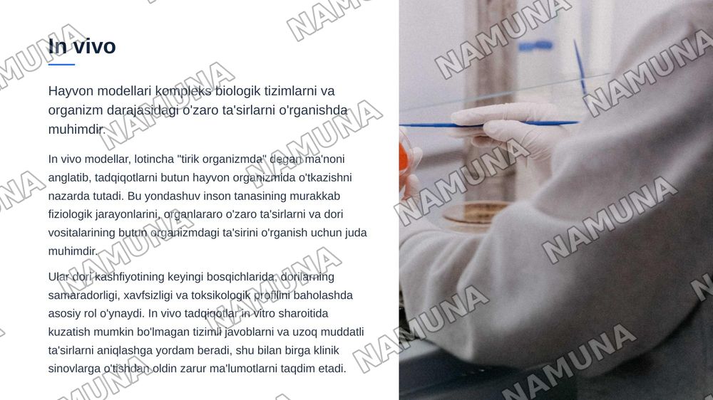 Eksperimental modellarni taqqoslash: in vitro, in vivo va in silico — zamonaviy taqdimot, 5-slayd