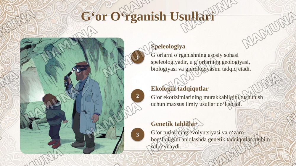 Gʻor ogʻlini tugʻilishi — taqdimot, 8-slayd