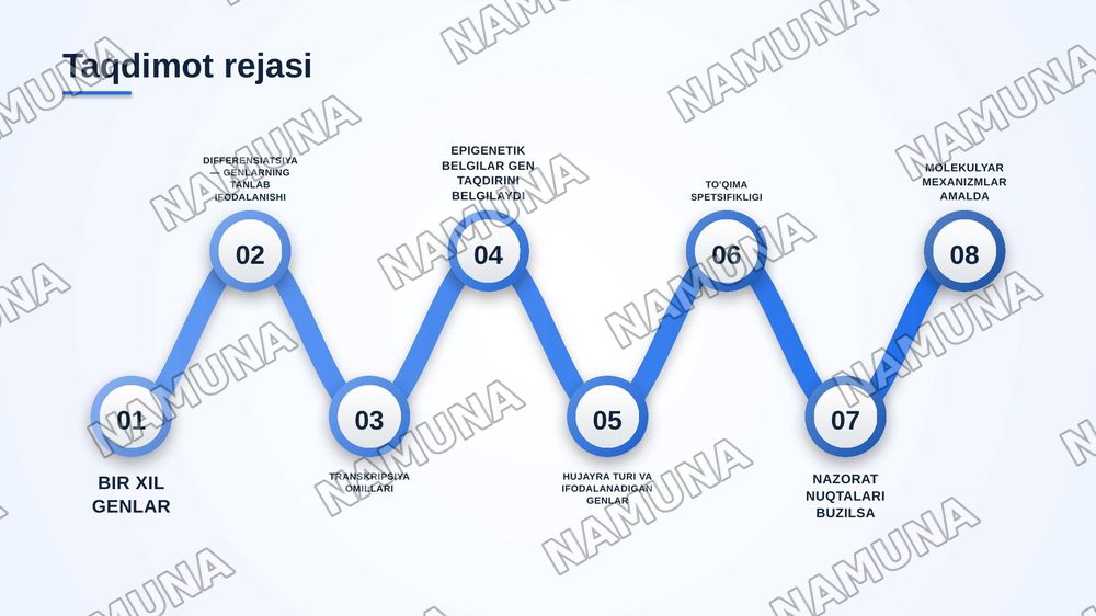 Hujayra to'qima spetsifikligi:differesiatsiya va funktsional ixtisoslashuvning molekulyar mexanizmlari — zamonaviy taqdimot, 2-slayd
