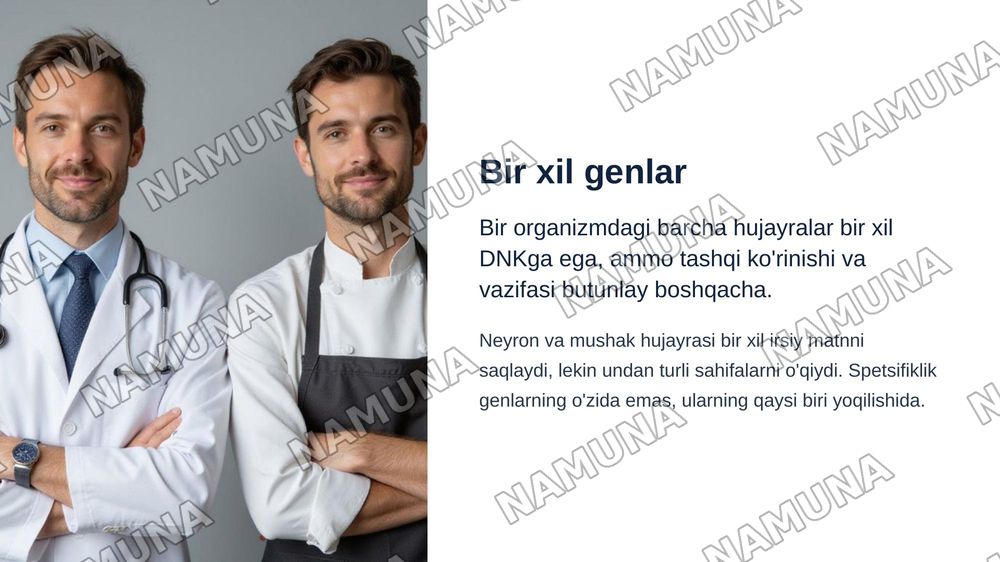 Hujayra to'qima spetsifikligi:differesiatsiya va funktsional ixtisoslashuvning molekulyar mexanizmlari — zamonaviy taqdimot, 3-slayd