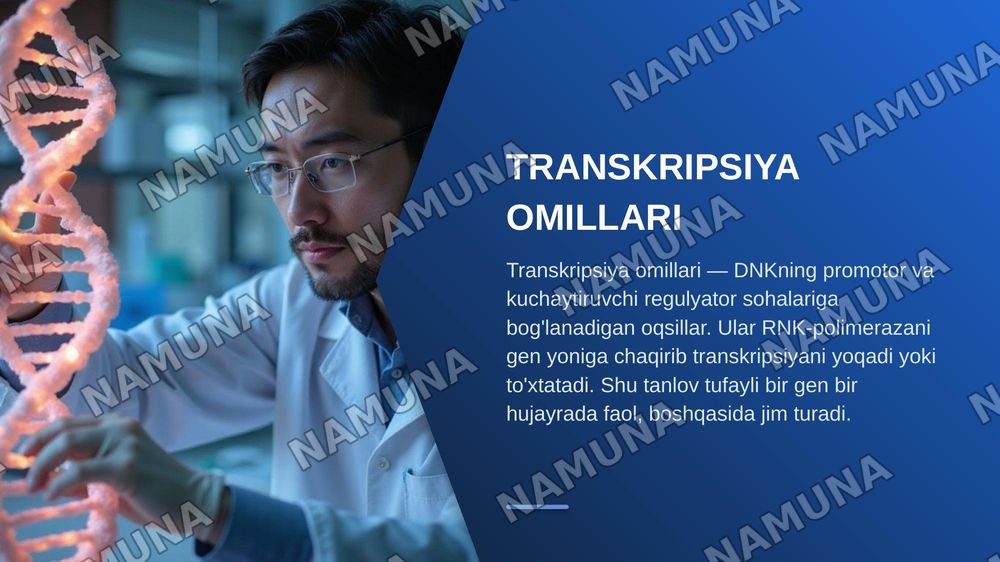Hujayra to'qima spetsifikligi:differesiatsiya va funktsional ixtisoslashuvning molekulyar mexanizmlari — zamonaviy taqdimot, 5-slayd