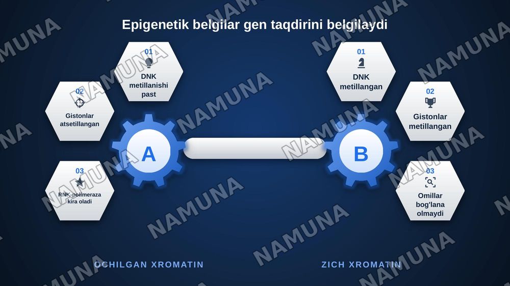 Hujayra to'qima spetsifikligi:differesiatsiya va funktsional ixtisoslashuvning molekulyar mexanizmlari — zamonaviy taqdimot, 6-slayd