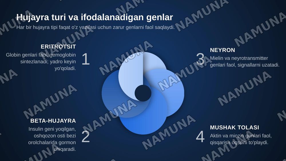 Hujayra to'qima spetsifikligi:differesiatsiya va funktsional ixtisoslashuvning molekulyar mexanizmlari — zamonaviy taqdimot, 8-slayd