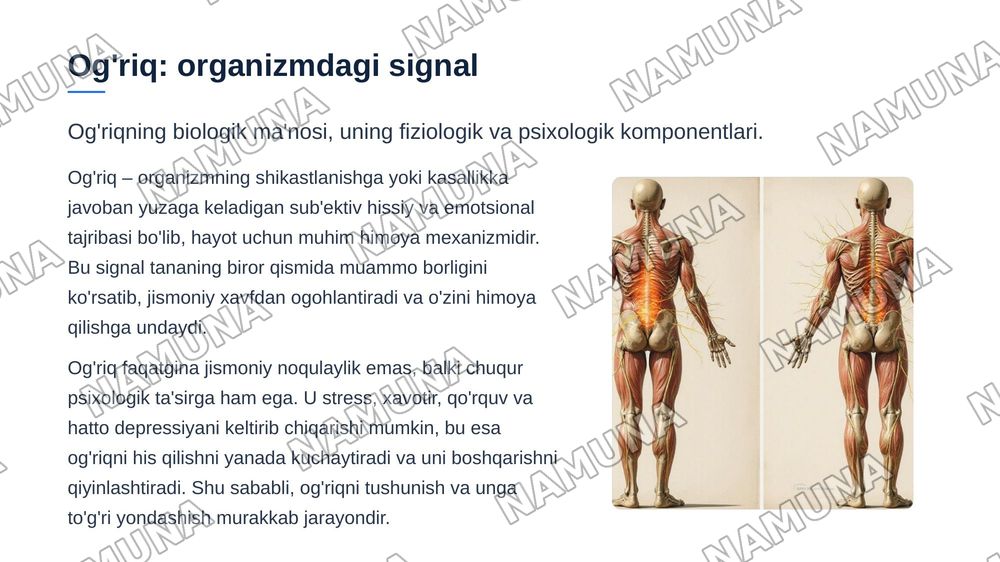Og’riq tushunchasi. Og’riq sindromi. Narkoz tushunchasi. Bemorlarni narkozga
tayyorlash. — zamonaviy taqdimot, 3-slayd