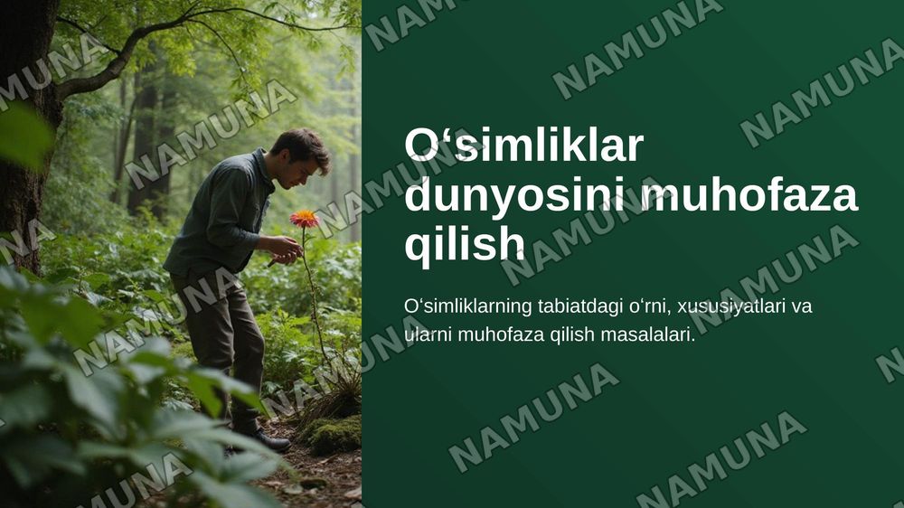 Oʻsimliklar dunyosini muxofaza qilish . Oʻsimliklarni tabiatda tutgan oʻrni va xususiyatlari — zamonaviy taqdimot, 1-slayd