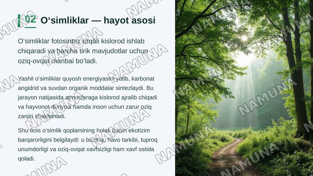 Oʻsimliklar dunyosini muxofaza qilish . Oʻsimliklarni tabiatda tutgan oʻrni va xususiyatlari — zamonaviy taqdimot, 3-slayd