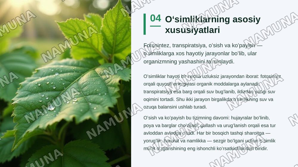 Oʻsimliklar dunyosini muxofaza qilish . Oʻsimliklarni tabiatda tutgan oʻrni va xususiyatlari — zamonaviy taqdimot, 5-slayd