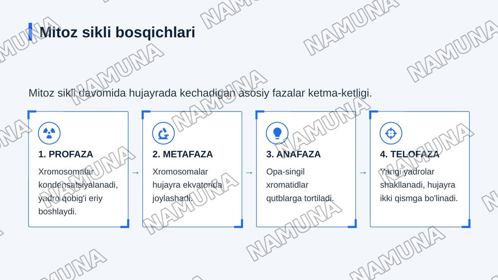 Hujayraning kôpayishi .
Mitoz. Mitoz sikli — zamonaviy taqdimot, 5-slayd