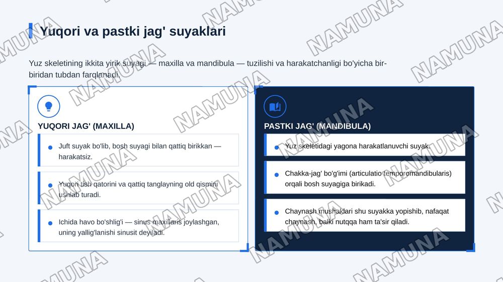 Kallaning yuz boʻlimi suyaklari — zamonaviy taqdimot, 5-slayd