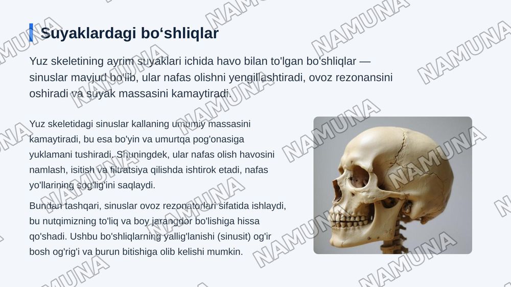 Kallaning yuz boʻlimi suyaklari — zamonaviy taqdimot, 8-slayd
