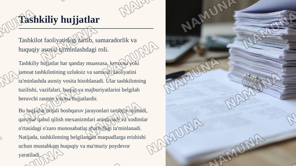 Tashkiliy hujatlar va ularning turlari,kelib chiqishi — zamonaviy taqdimot, 3-slayd