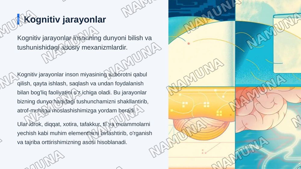 Kognitiv jarayonlar shakllanishi.Ong insonda aks ettirish darajalari — zamonaviy taqdimot, 3-slayd