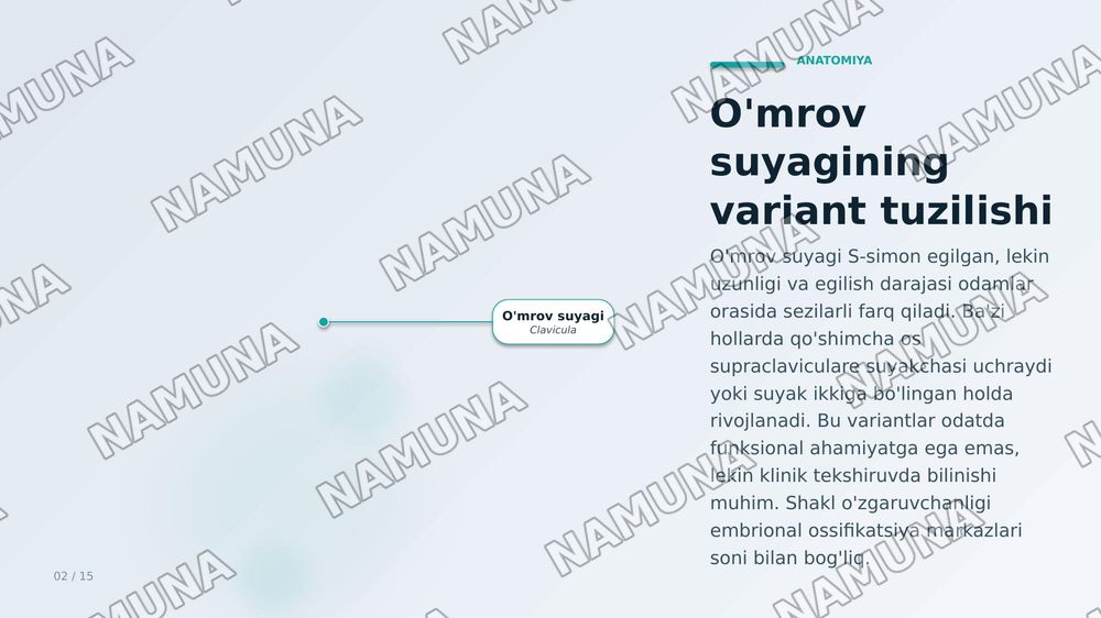 Qoʻl suyaklarining variantli anatomiyasi, rivojlanish nuqsonlari, qoʻl suyaklarining rivojlanishiga ichka va tashqi faktorlarning taʼsiri. — zamonaviy taqdimot, 2-slayd