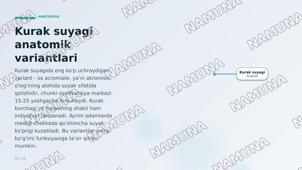 Qoʻl suyaklarining variantli anatomiyasi, rivojlanish nuqsonlari, qoʻl suyaklarining rivojlanishiga ichka va tashqi faktorlarning taʼsiri. — zamonaviy taqdimot, 3-slayd