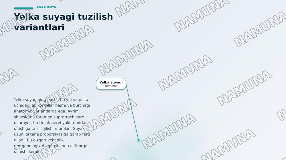 Qoʻl suyaklarining variantli anatomiyasi, rivojlanish nuqsonlari, qoʻl suyaklarining rivojlanishiga ichka va tashqi faktorlarning taʼsiri. — zamonaviy taqdimot, 4-slayd