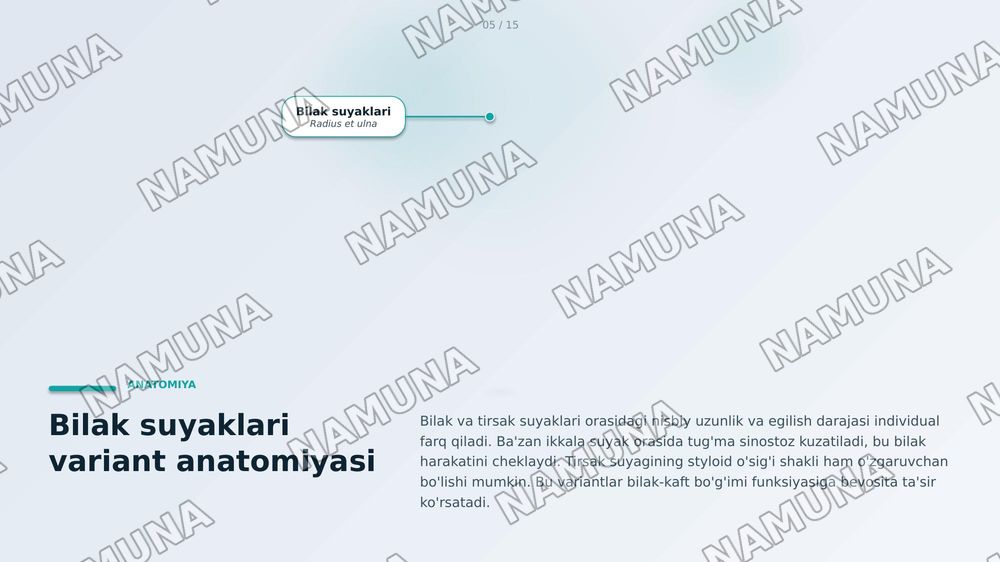 Qoʻl suyaklarining variantli anatomiyasi, rivojlanish nuqsonlari, qoʻl suyaklarining rivojlanishiga ichka va tashqi faktorlarning taʼsiri. — zamonaviy taqdimot, 5-slayd