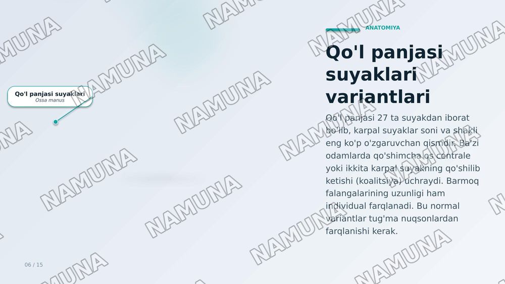 Qoʻl suyaklarining variantli anatomiyasi, rivojlanish nuqsonlari, qoʻl suyaklarining rivojlanishiga ichka va tashqi faktorlarning taʼsiri. — zamonaviy taqdimot, 6-slayd