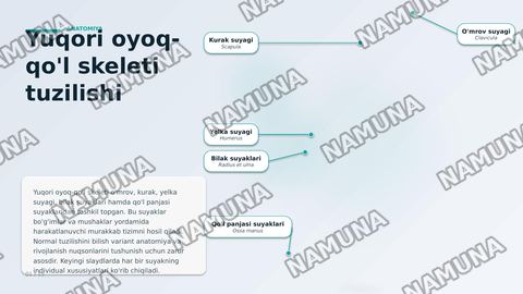 Qoʻl suyaklarining variantli anatomiyasi, rivojlanish nuqsonlari, qoʻl suyaklarining rivojlanishiga ichka va tashqi faktorlarning taʼsiri. — zamonaviy taqdimot
