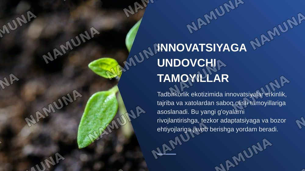 Tadbirkorlik ekotasir tamoillari va amaliy axamiyati — zamonaviy taqdimot, 7-slayd