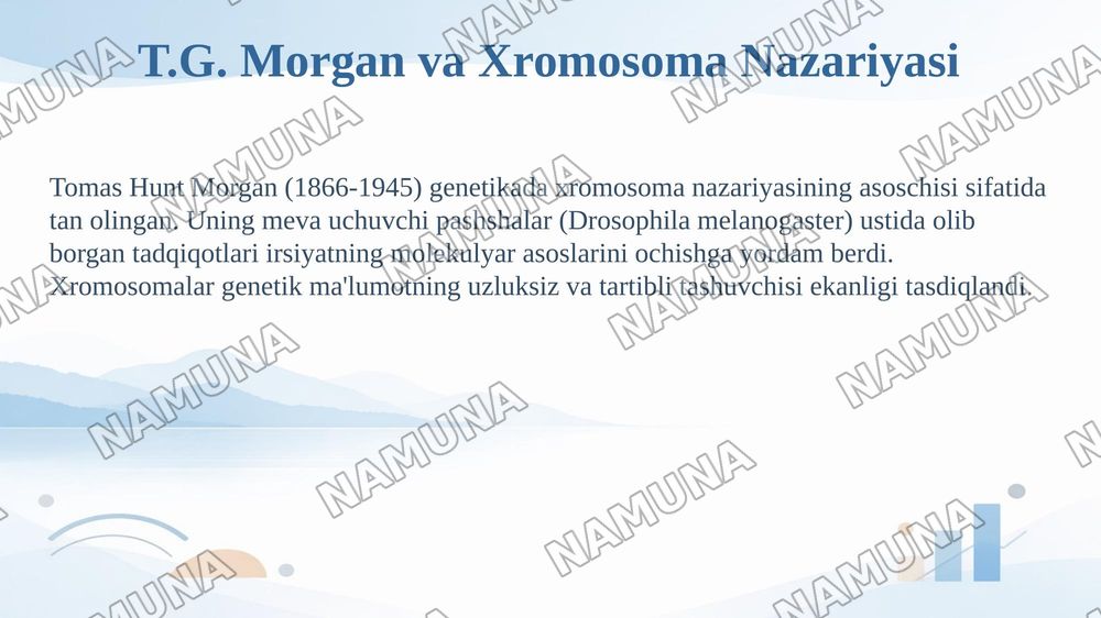 T.G.Morganning irsiyatning xromosoma nazariyasi, Genlaming 
birikish hodisasi, krossingover. Belgilarning jinsga birikkan holda irsiylanishi — taqdimot, 4-slayd