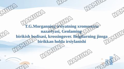 T.G.Morganning irsiyatning xromosoma nazariyasi, Genlaming
birikish hodisasi, krossingover. Belgilarning jinsga birikkan holda irsiylanishi — taqdimot