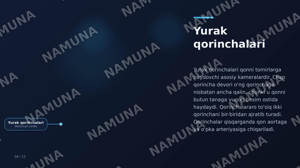 Yurak — zamonaviy taqdimot, 7-slayd