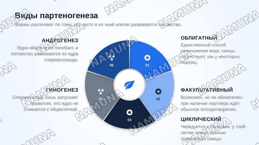Бесполое и половое размножение многоклеточных организмов . Портеногенез и ее виды — zamonaviy taqdimot, 8-slayd